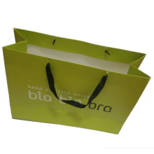 Bolsa de compras de papel impreso regalo portador (SW389)